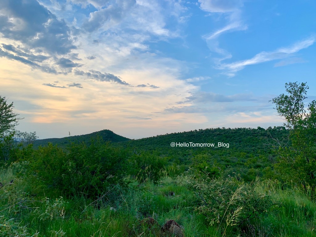 Adventures in the African Bush, Part IV: Safari Game&nbsp;Drives